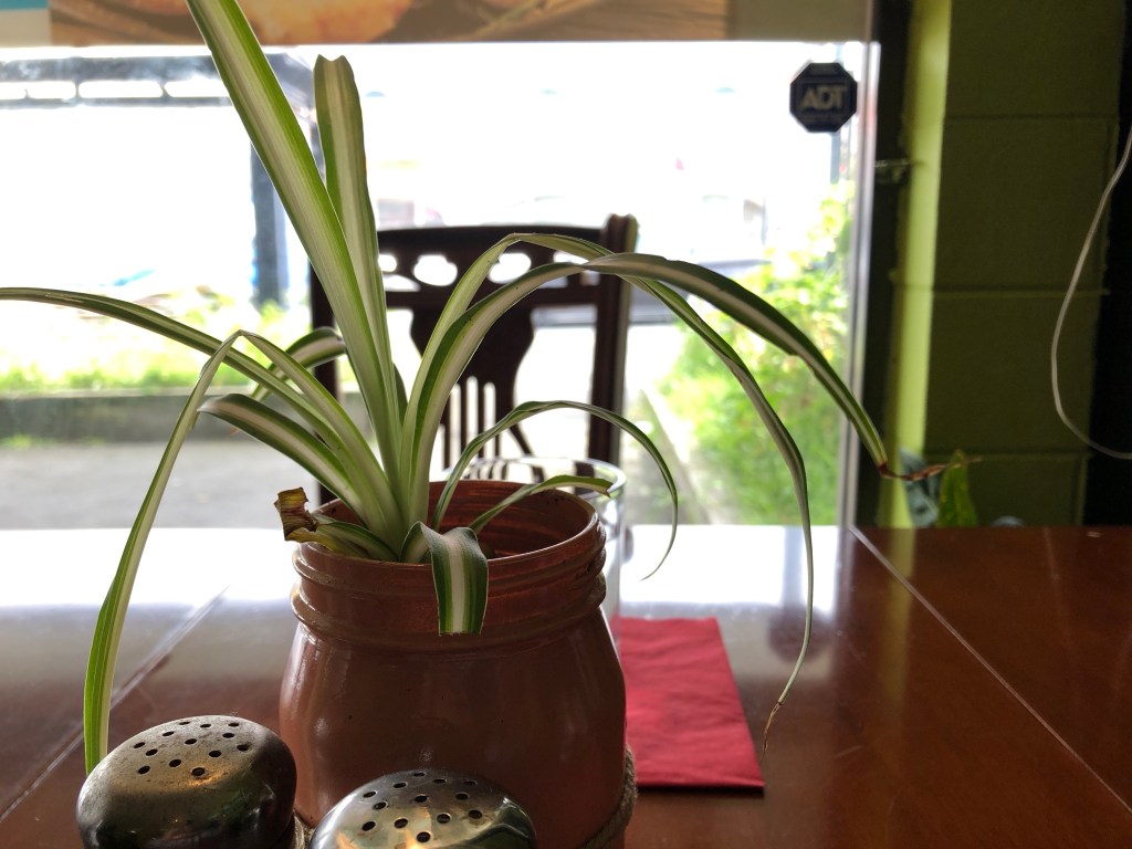 Dine around the&nbsp;world